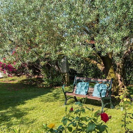 B&B Carmela Umag Exterior foto